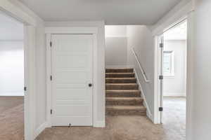 Stairway downstairs. Under the stairs storage space.