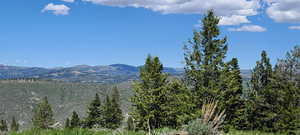 Northwest View