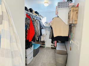 Spacious closet with carpet flooring