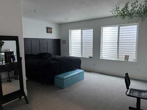 Bedroom with a textured ceiling, visible vents, and carpet