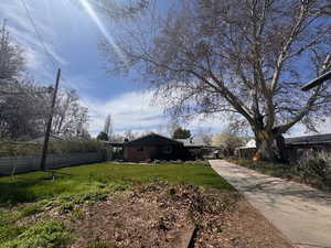 View of back yard