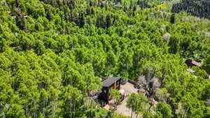 View from above of property with a heavily wooded area