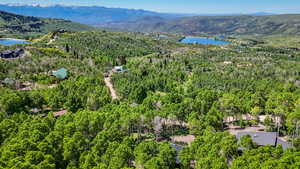 Bird's eye view of a heavily wooded area and a water and mountain view