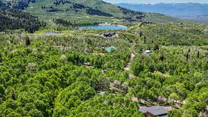 Bird's eye view of a heavily wooded area and a water and mountain view