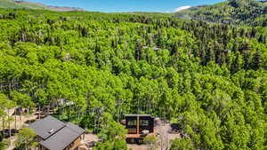 Bird's eye view of a heavily wooded area and a mountainous background
