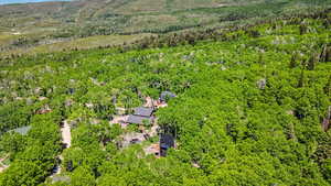 Drone / aerial view of a forest