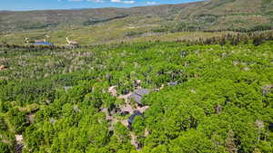 Aerial view of a heavily wooded area and mountains