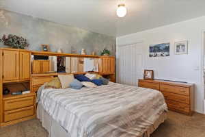 Spacious bedroom featuring textured wall treatment, neutral-toned carpeting, and a built-in closet with bifold doors