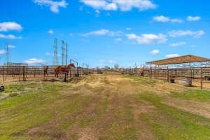 Expansive outdoor property featuring fenced enclosures, an open-air covered structure, a clear pathway, and visible power lines in the distance