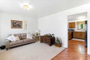 Bright interior space featuring light-colored carpeting, white wall finishes, and a flush-mount ceiling light fixture