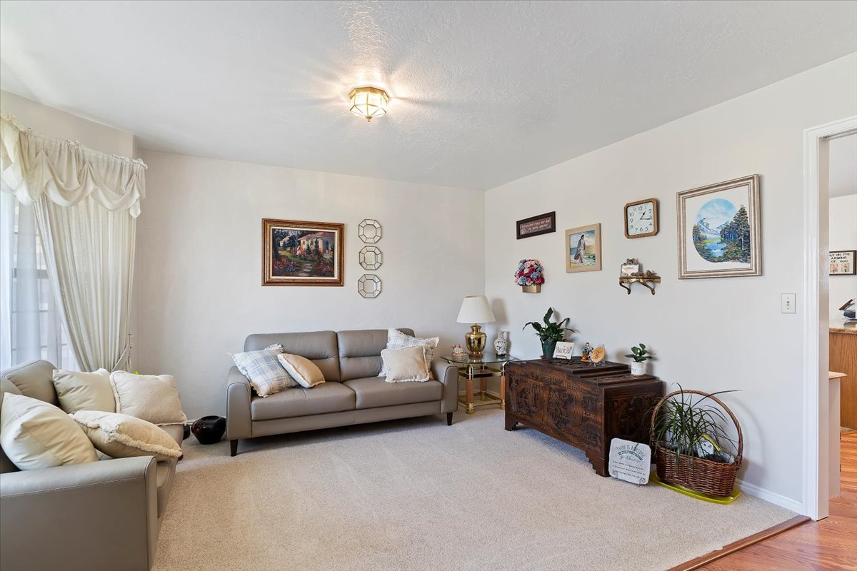 Carpeted living area featuring light-colored walls and a classic ceiling light fixture