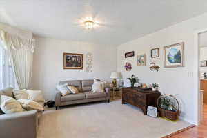 Carpeted living area featuring light-colored walls and a classic ceiling light fixture
