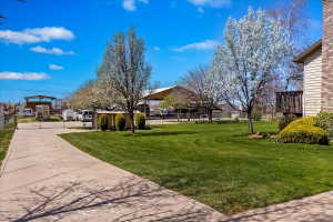 Expansive green lawn with mature flowering trees, a curved concrete driveway, and a partially visible siding and brick exterior