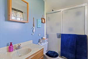 Shower enclosure with frosted glass sliding doors, alongside a vanity with an integrated sink and a wood-finish cabinet