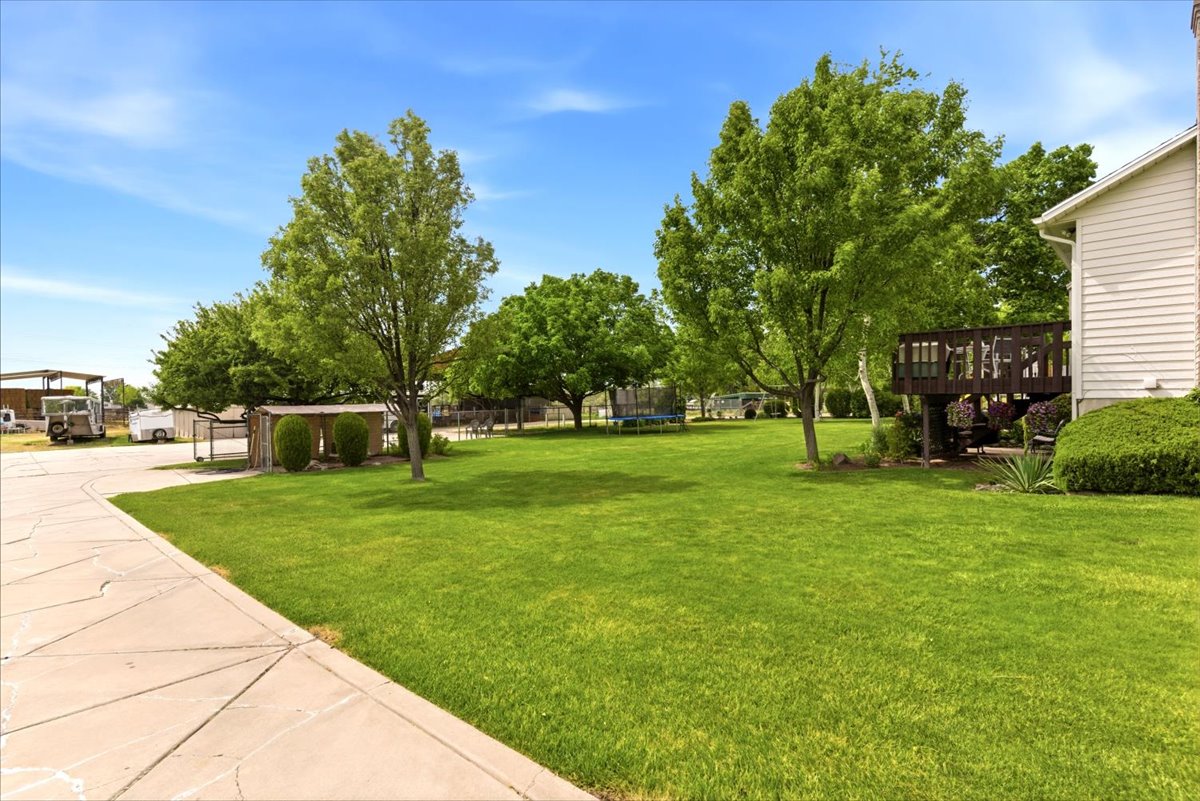 Expansive green lawn with mature trees and a private wood deck