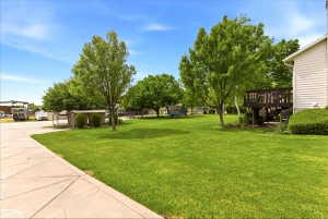 Expansive green lawn with mature trees and a private wood deck