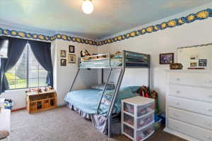 Carpeted room featuring a large window with white muntins, white walls, and a decorative border