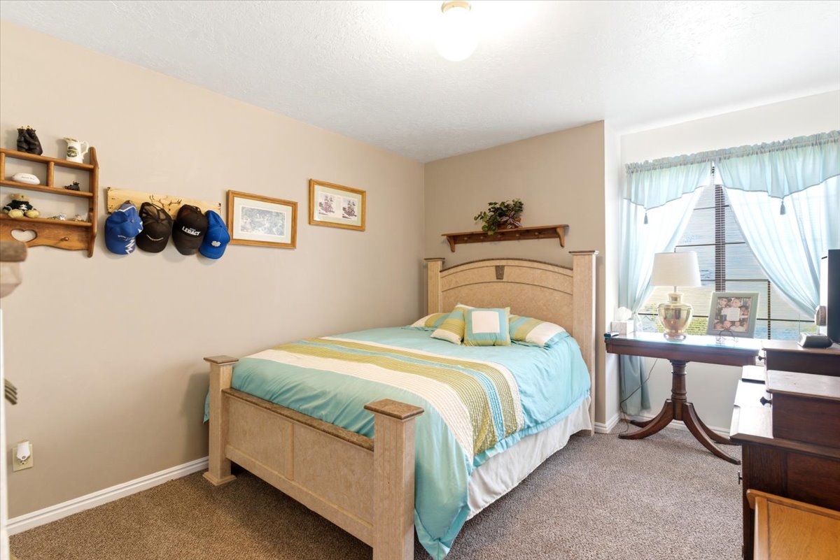 Carpeted room featuring neutral wall paint, white baseboards, a window with muntins, and a ceiling light fixture