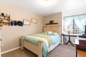 Carpeted room featuring neutral wall paint, white baseboards, a window with muntins, and a ceiling light fixture