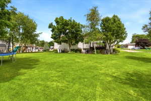 Expansive green lawn providing abundant outdoor space