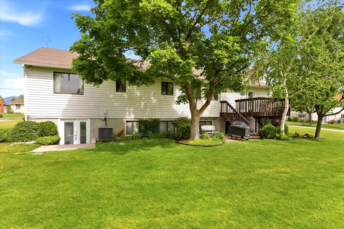 Expansive grassy backyard featuring mature trees, a multi-level wood deck, and a walk-out basement with double doors