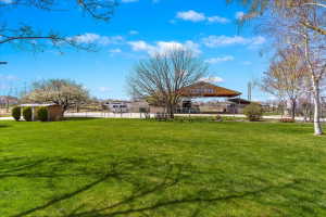 Expansive green lawn with mature trees