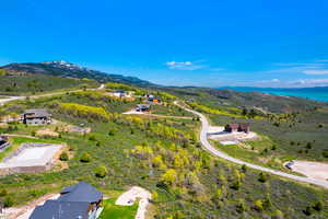 Drone / aerial view featuring a mountain view