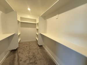 Walk in closet featuring dark colored carpet