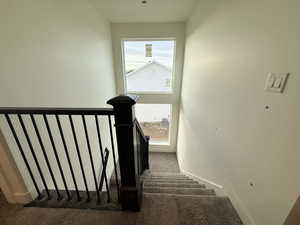 Staircase featuring carpet flooring and baseboards