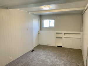 Below grade area featuring wood walls, carpet flooring, and visible vents