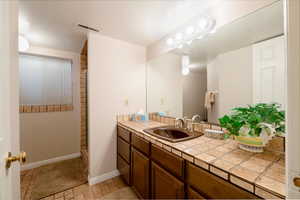 Lower Level Bathroom