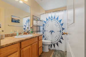 Bathroom featuring curtained shower, wood finished floors, toilet, and vanity