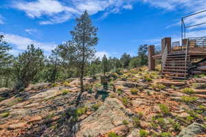 View of yard featuring stairs