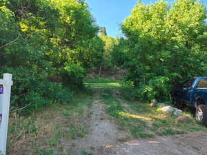 View of road