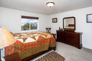 Bedroom featuring baseboards, carpet floors, a textured ceiling, and visible vents