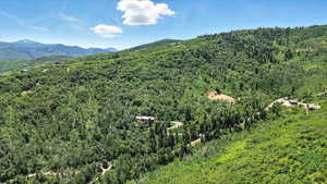 Mountain view featuring a heavily wooded area