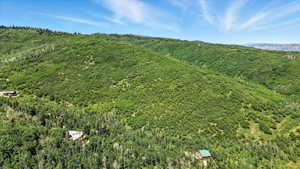 Drone / aerial view of a heavily wooded area