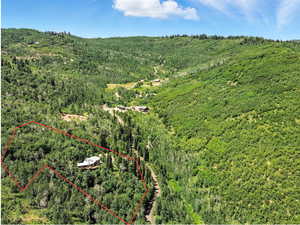 View of property location featuring a heavily wooded area and property boundaries highlighted
