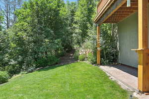 View of green lawn