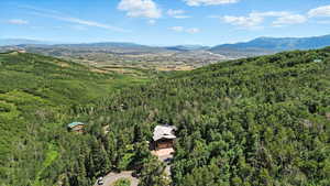 Drone / aerial view of a forest and a mountainous background