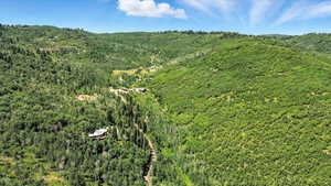 Bird's eye view of a heavily wooded area