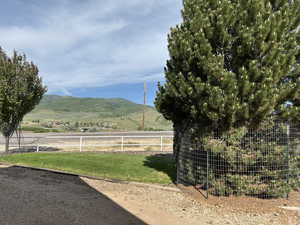 View looking north from the driveway