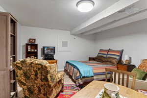 ADU Bedroom/Family room