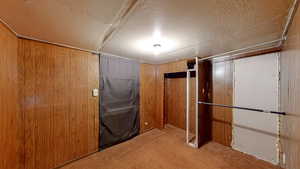 Basement featuring carpet, a textured ceiling, and wooden walls