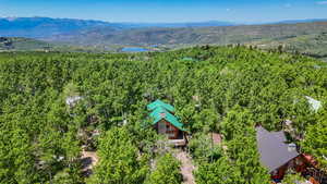 Bird's eye view of a mountainous background and a heavily wooded area