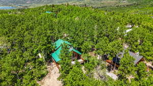 Drone / aerial view of a heavily wooded area