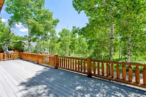 Back Deck