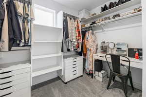 Primary walk in closet featuring carpet flooring