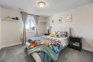 Bedroom featuring a textured ceiling, carpet flooring, baseboards, and visible vents