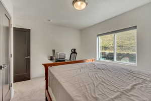 Bedroom with carpet flooring